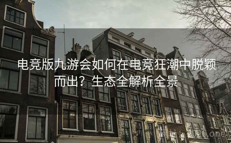 电竞版九游会如何在电竞狂潮中脱颖而出？生态全解析全景  第2张