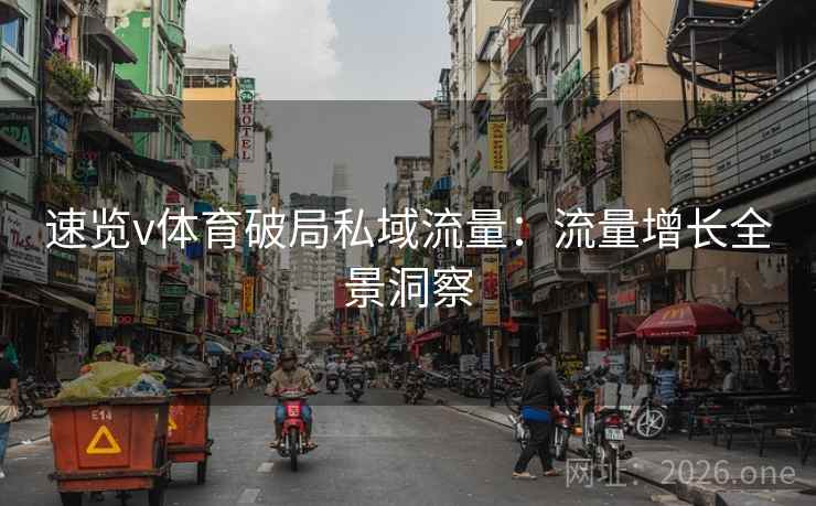 速览v体育破局私域流量：流量增长全景洞察  第2张