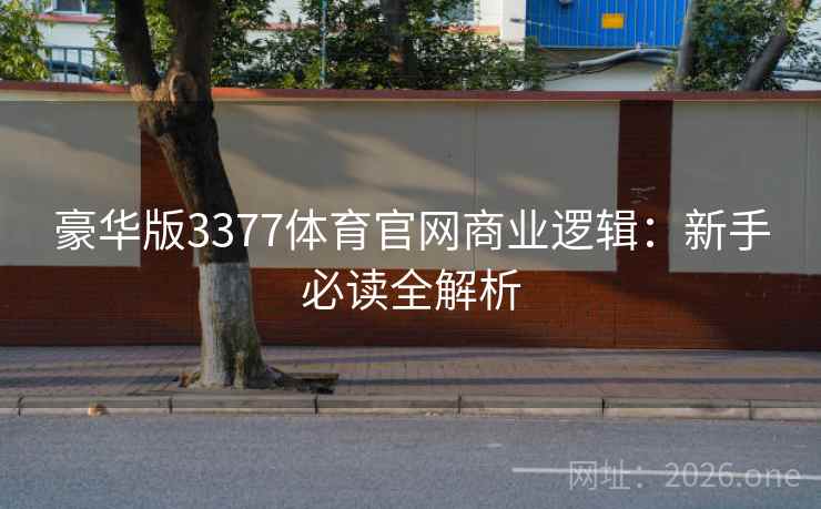 豪华版3377体育官网商业逻辑：新手必读全解析  第2张