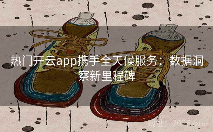 热门开云app携手全天候服务：数据洞察新里程碑  第2张