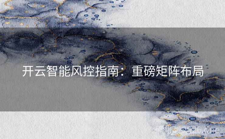 开云智能风控指南：重磅矩阵布局  第2张
