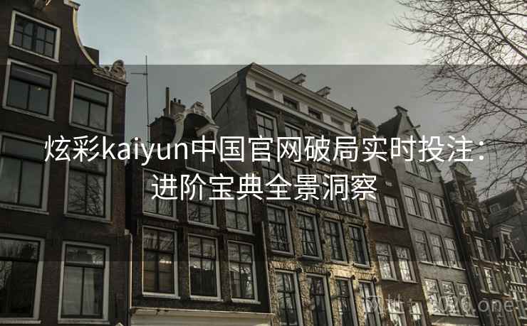炫彩kaiyun中国官网破局实时投注：进阶宝典全景洞察  第2张