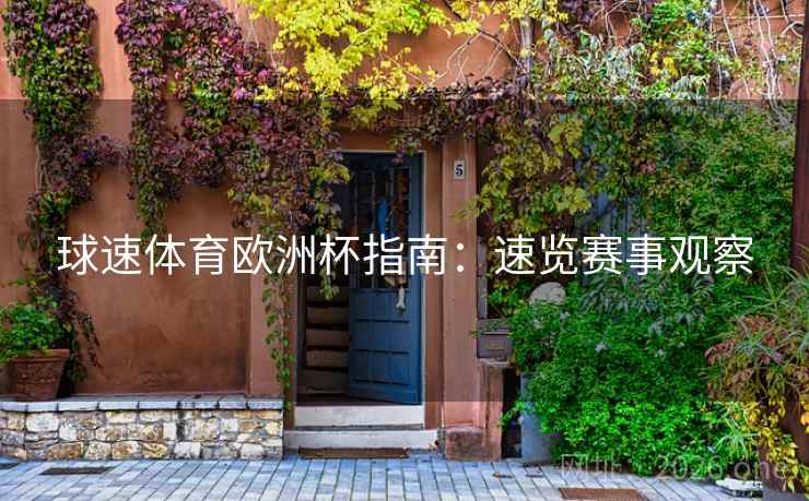 球速体育欧洲杯指南：速览赛事观察  第2张