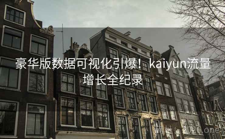 豪华版数据可视化引爆！kaiyun流量增长全纪录  第2张