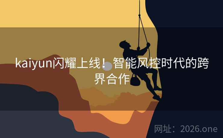kaiyun闪耀上线！智能风控时代的跨界合作  第2张