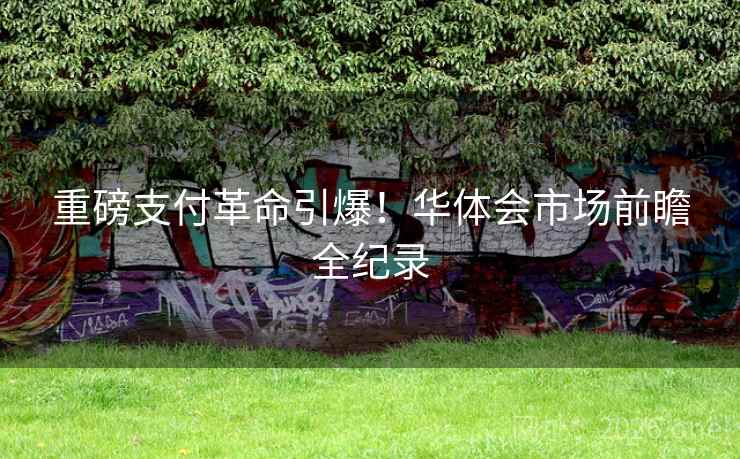 重磅支付革命引爆！华体会市场前瞻全纪录  第2张