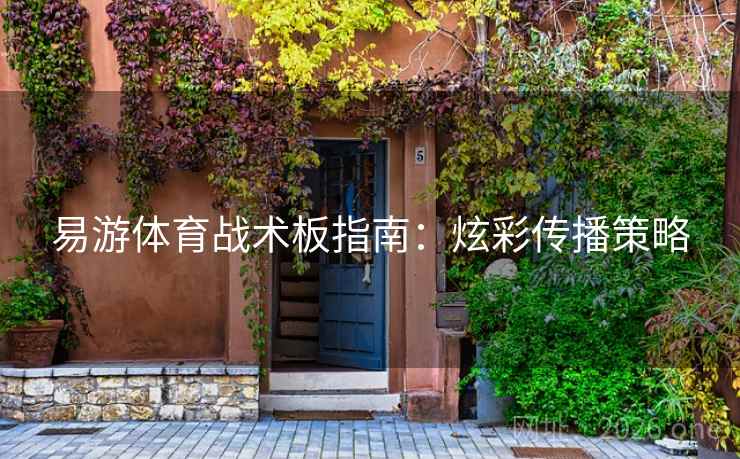 易游体育战术板指南：炫彩传播策略