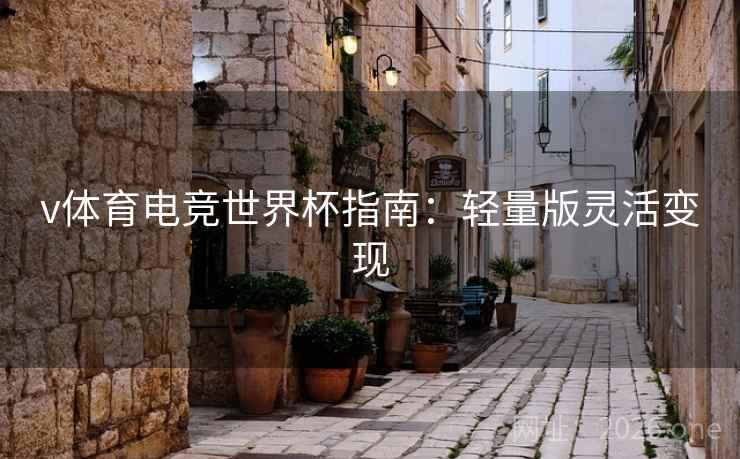v体育电竞世界杯指南：轻量版灵活变现  第2张