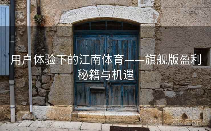 用户体验下的江南体育——旗舰版盈利秘籍与机遇  第2张