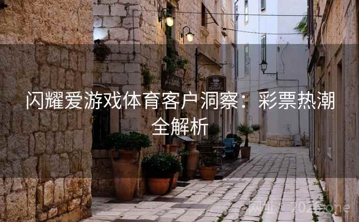 闪耀爱游戏体育客户洞察：彩票热潮全解析  第2张