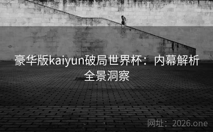 豪华版kaiyun破局世界杯：内幕解析全景洞察  第2张