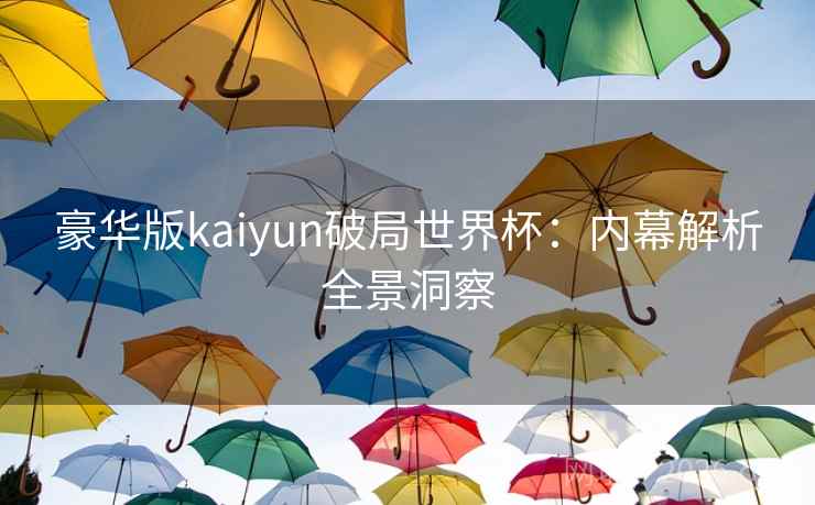 豪华版kaiyun破局世界杯：内幕解析全景洞察  第1张