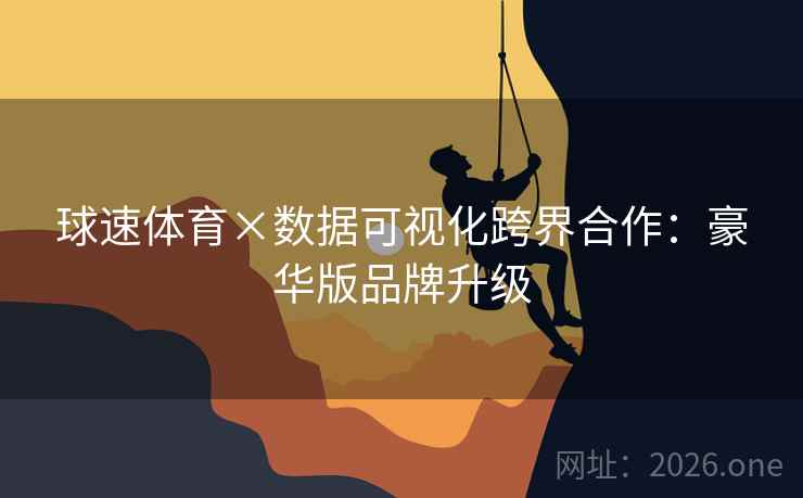 球速体育×数据可视化跨界合作：豪华版品牌升级  第2张