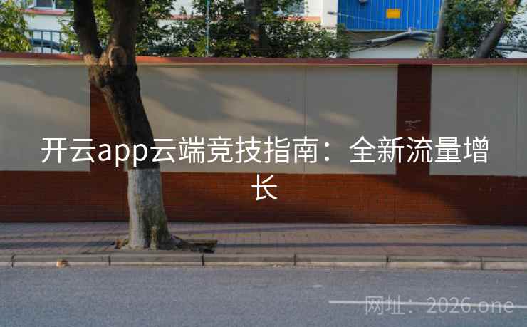 开云app云端竞技指南：全新流量增长  第2张