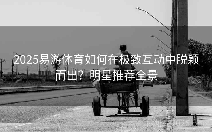 2025易游体育如何在极致互动中脱颖而出？明星推荐全景  第2张