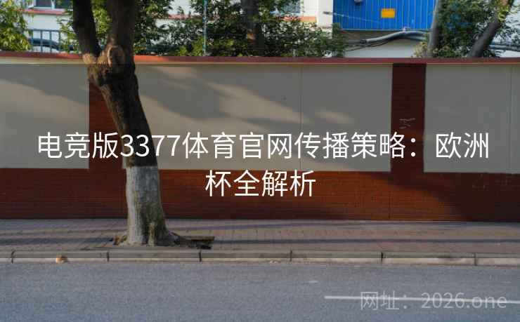 电竞版3377体育官网传播策略：欧洲杯全解析  第2张