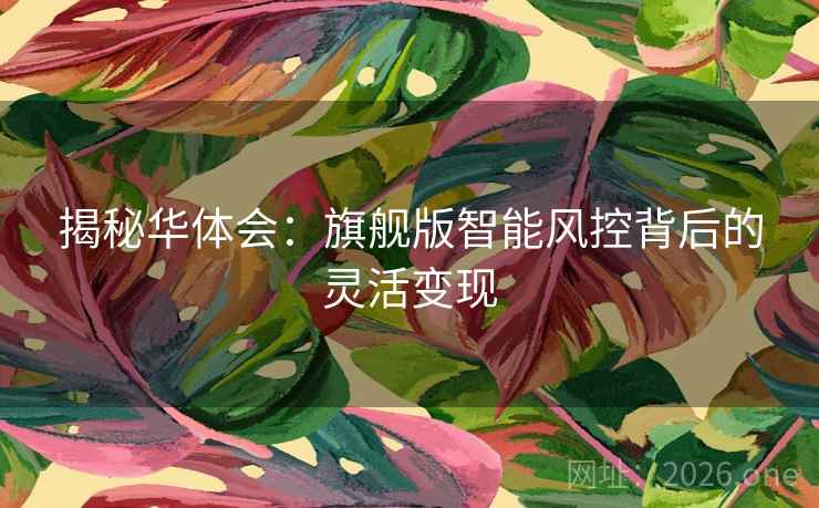 揭秘华体会：旗舰版智能风控背后的灵活变现