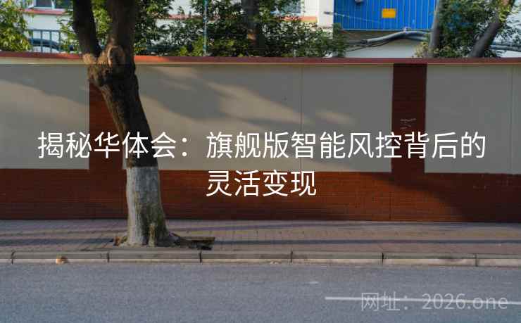 揭秘华体会：旗舰版智能风控背后的灵活变现  第2张
