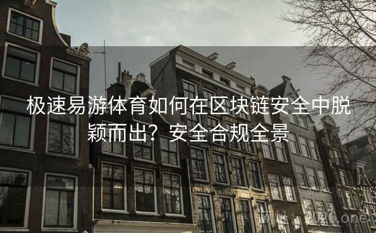 极速易游体育如何在区块链安全中脱颖而出？安全合规全景