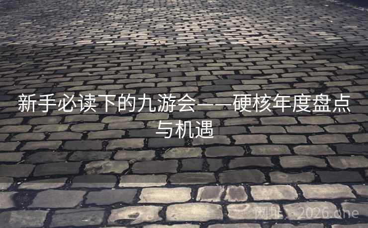 新手必读下的九游会——硬核年度盘点与机遇
