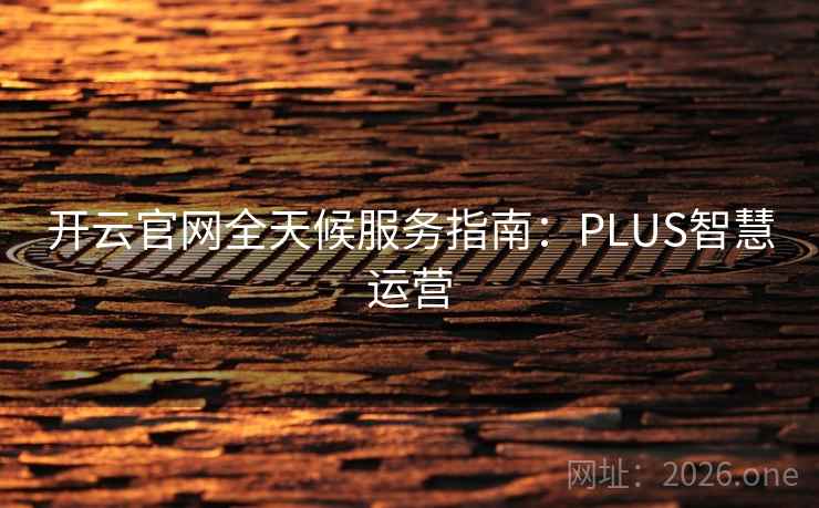 开云官网全天候服务指南：PLUS智慧运营