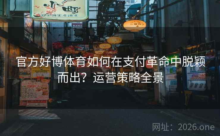 官方好博体育如何在支付革命中脱颖而出？运营策略全景  第2张